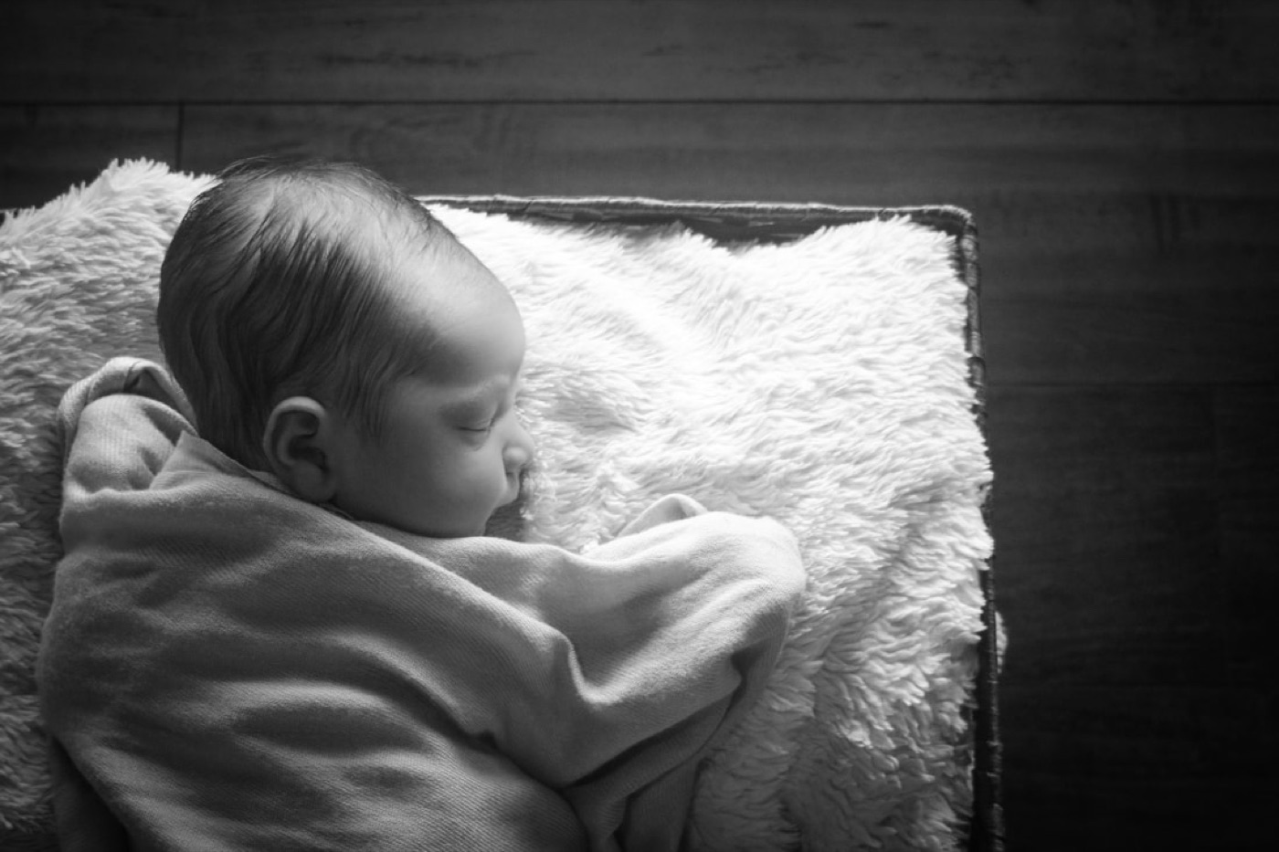 KMD Photography portrait